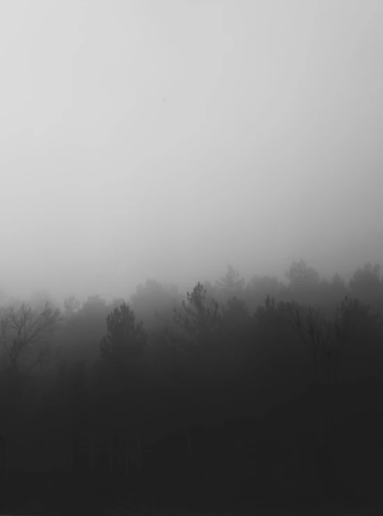 black and white pograph of fog over field