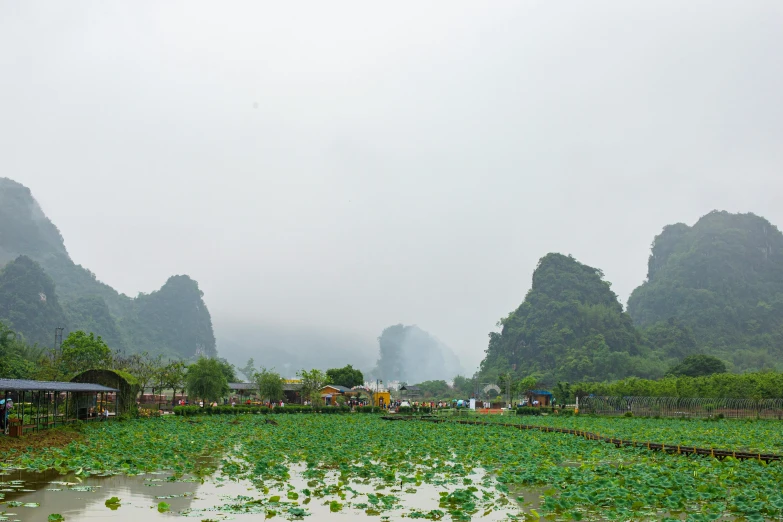 fog rolling in over a rice field and mountains