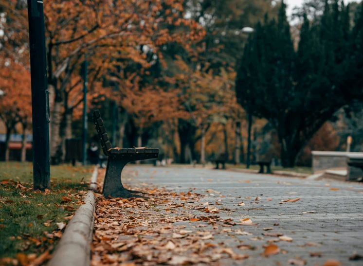 a bench on the street and leaves scattered all around it