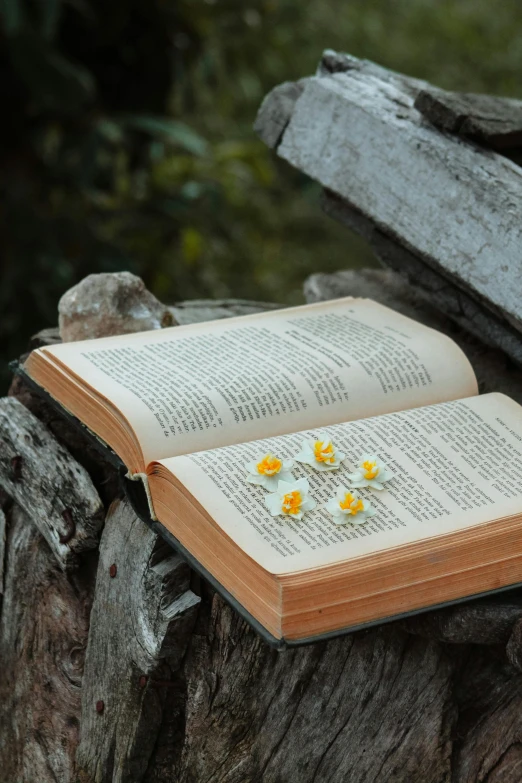 a bible open and with yellow flowers floating off of it