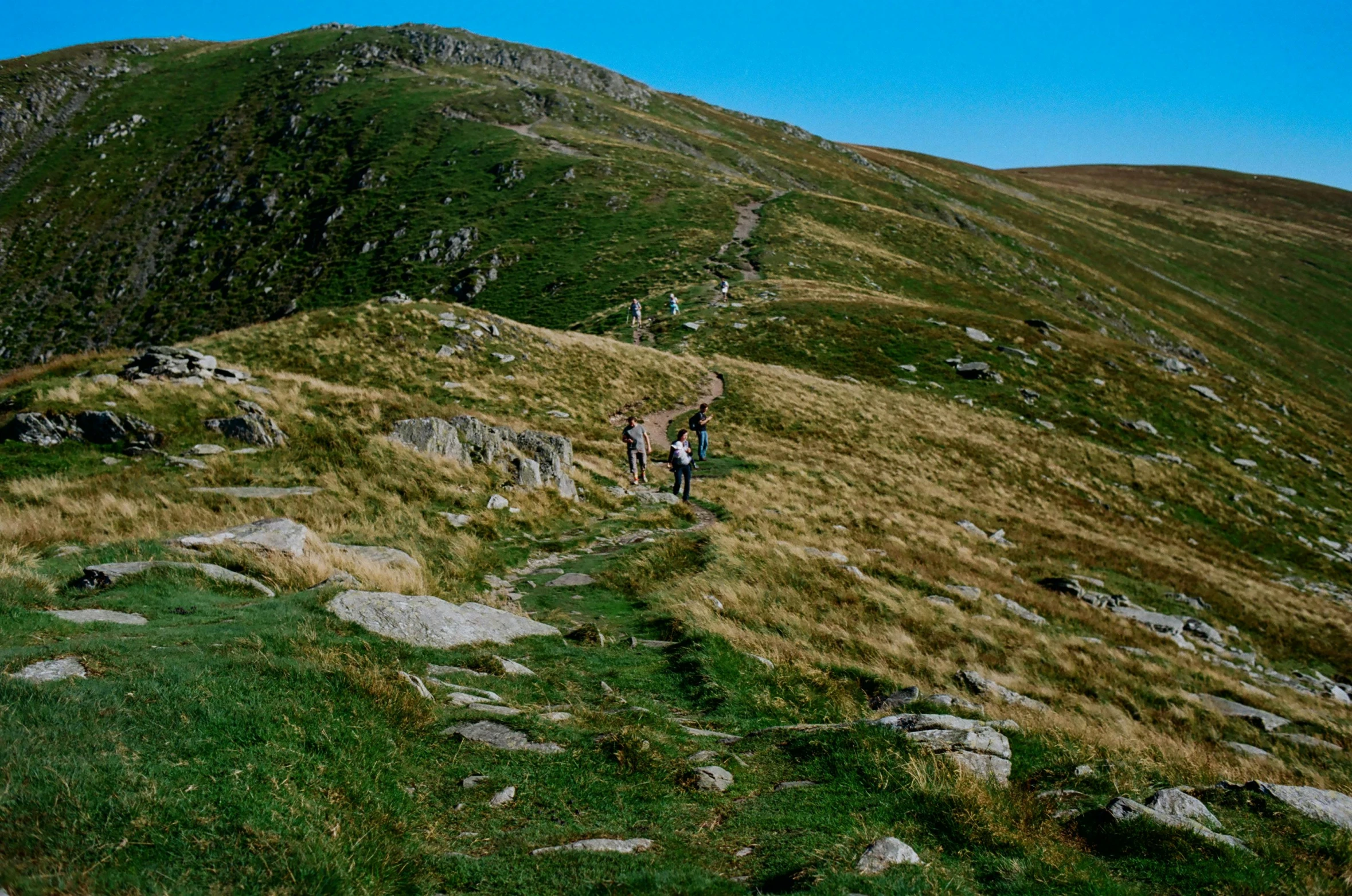 two hikers on a trail up a grassy hill