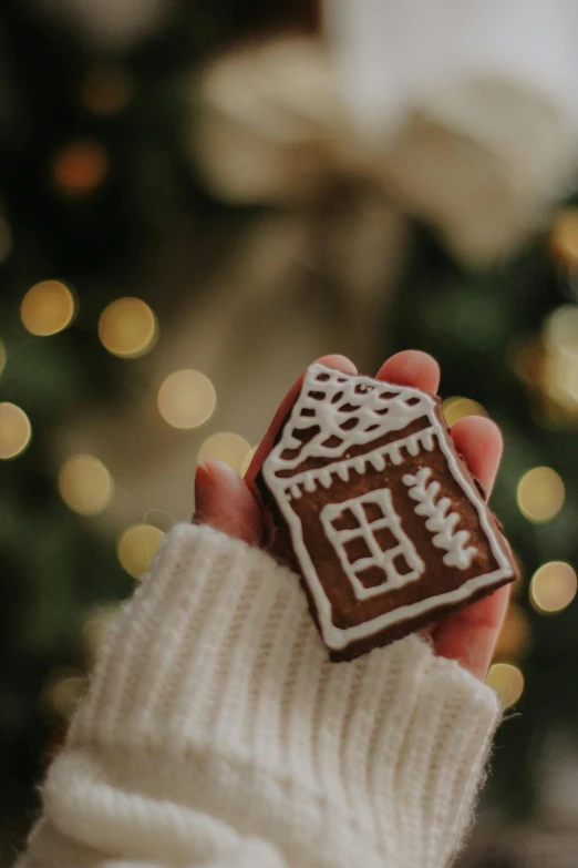 someone holding a toy with a gingerbread cut out of it