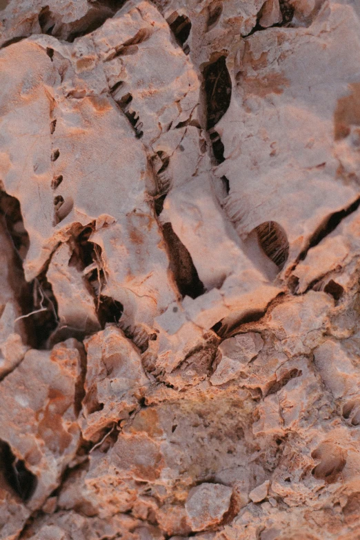 a bird sits on some rocks at the top of it's nest