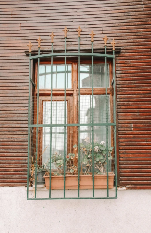 two potted plants inside of a window on a brick building