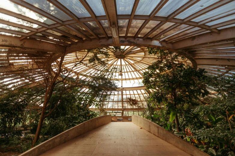 a circular structure with a skylight above some plants