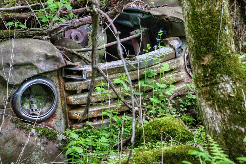 a car that has been broken over in the woods