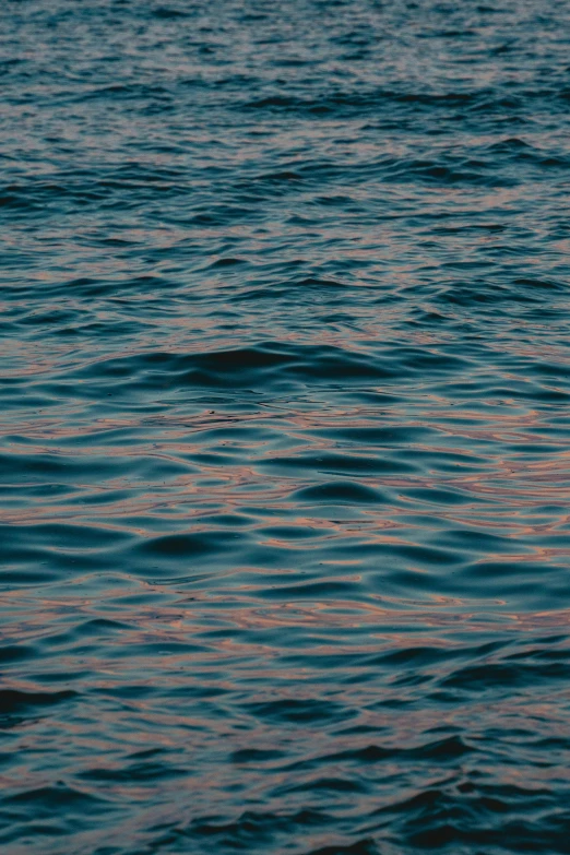 a lone surfer in the ocean with waves on it