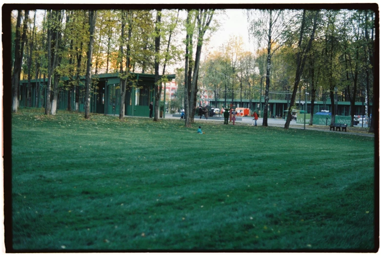 a park scene with the sun coming through trees and the grass is green