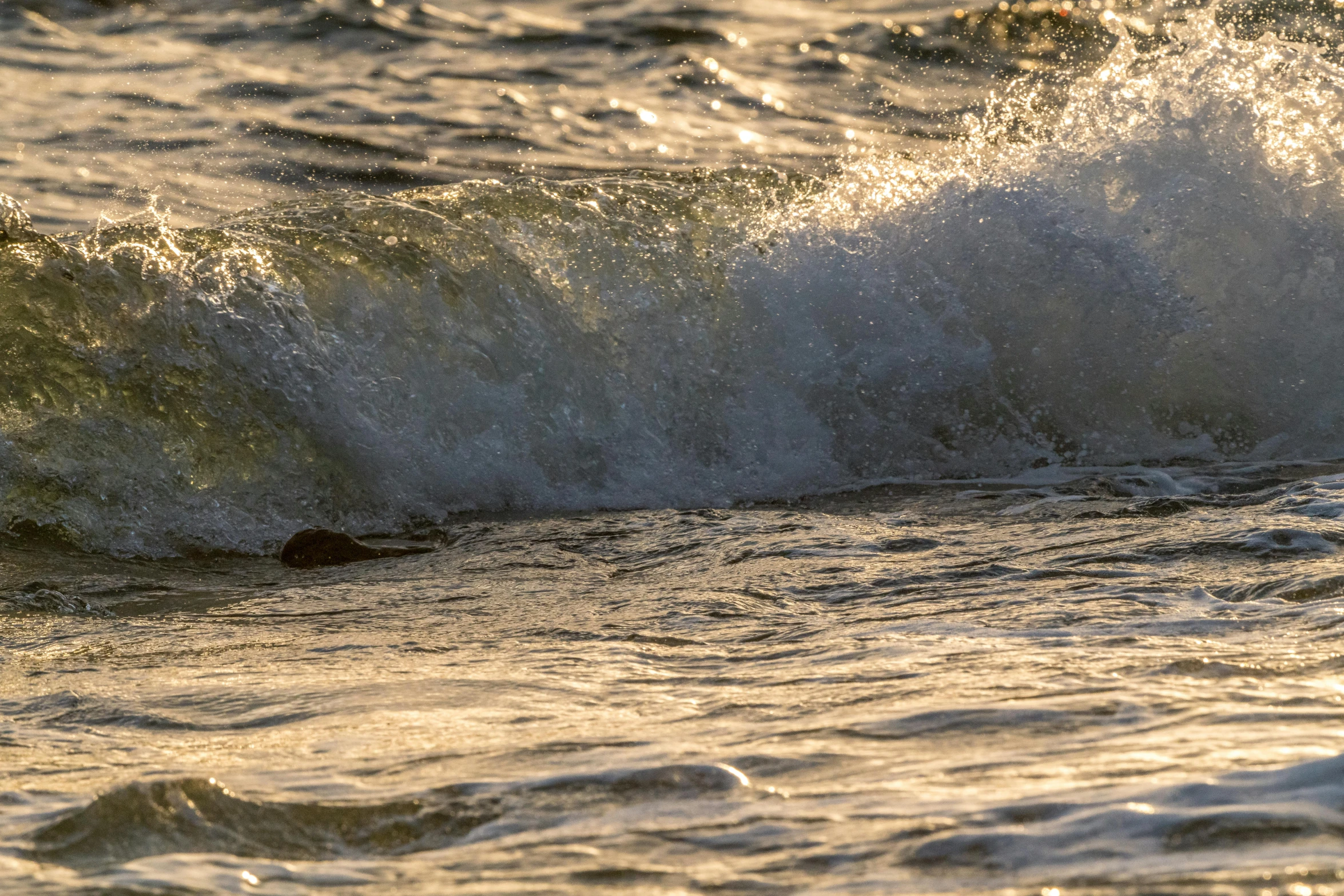 someone is surfing the waves on a surfboard