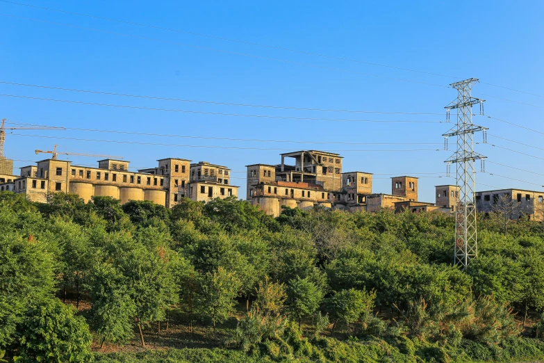 the building are built over an area full of trees