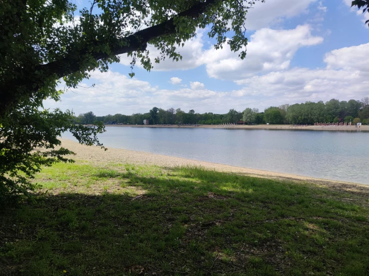 the tree is standing by the water's edge