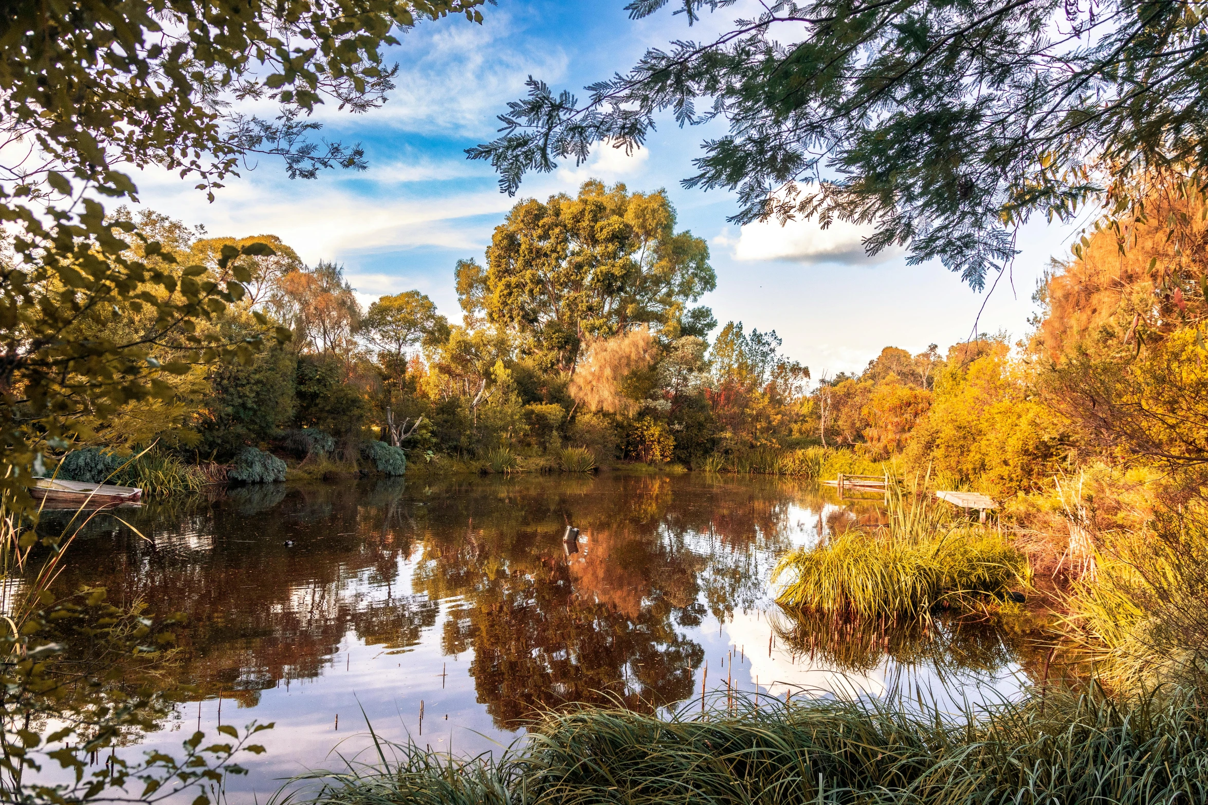 a small river with water surrounded by a forest