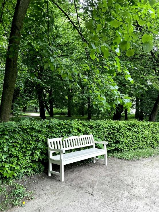 an empty park bench sits in a grassy area