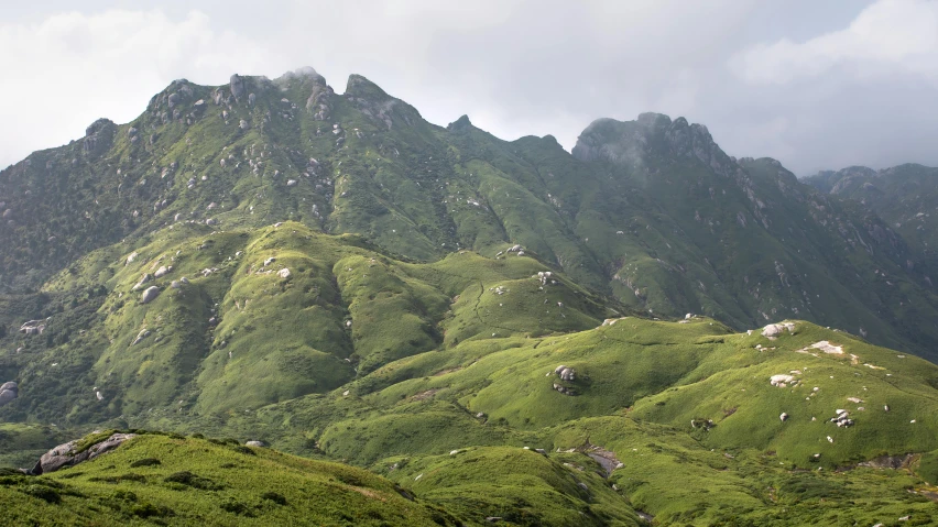 a hill of green mountains with animals resting on the tops