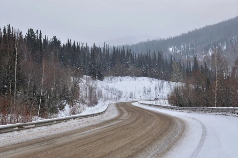 the road is lined with many trees, with snow falling on it