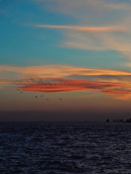 birds flying on the ocean at sunset