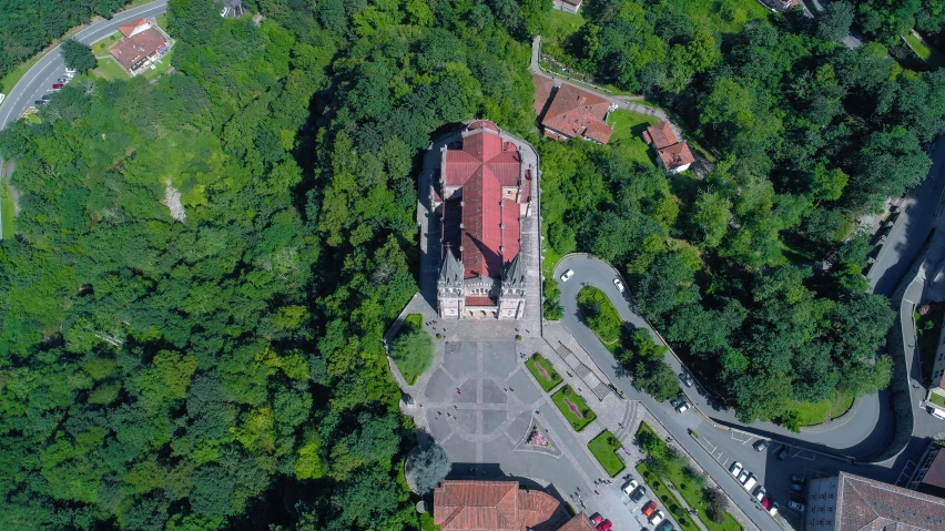 an aerial view of the old castle with lush trees