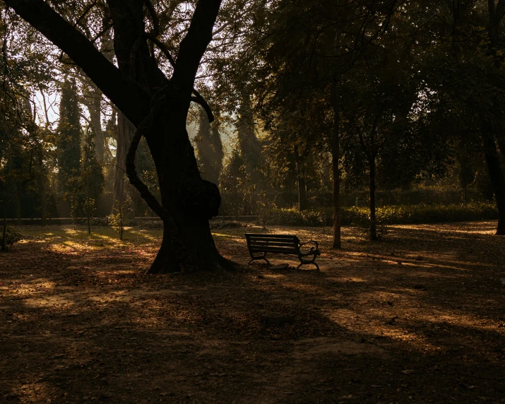 the bench is in the middle of a field with grass