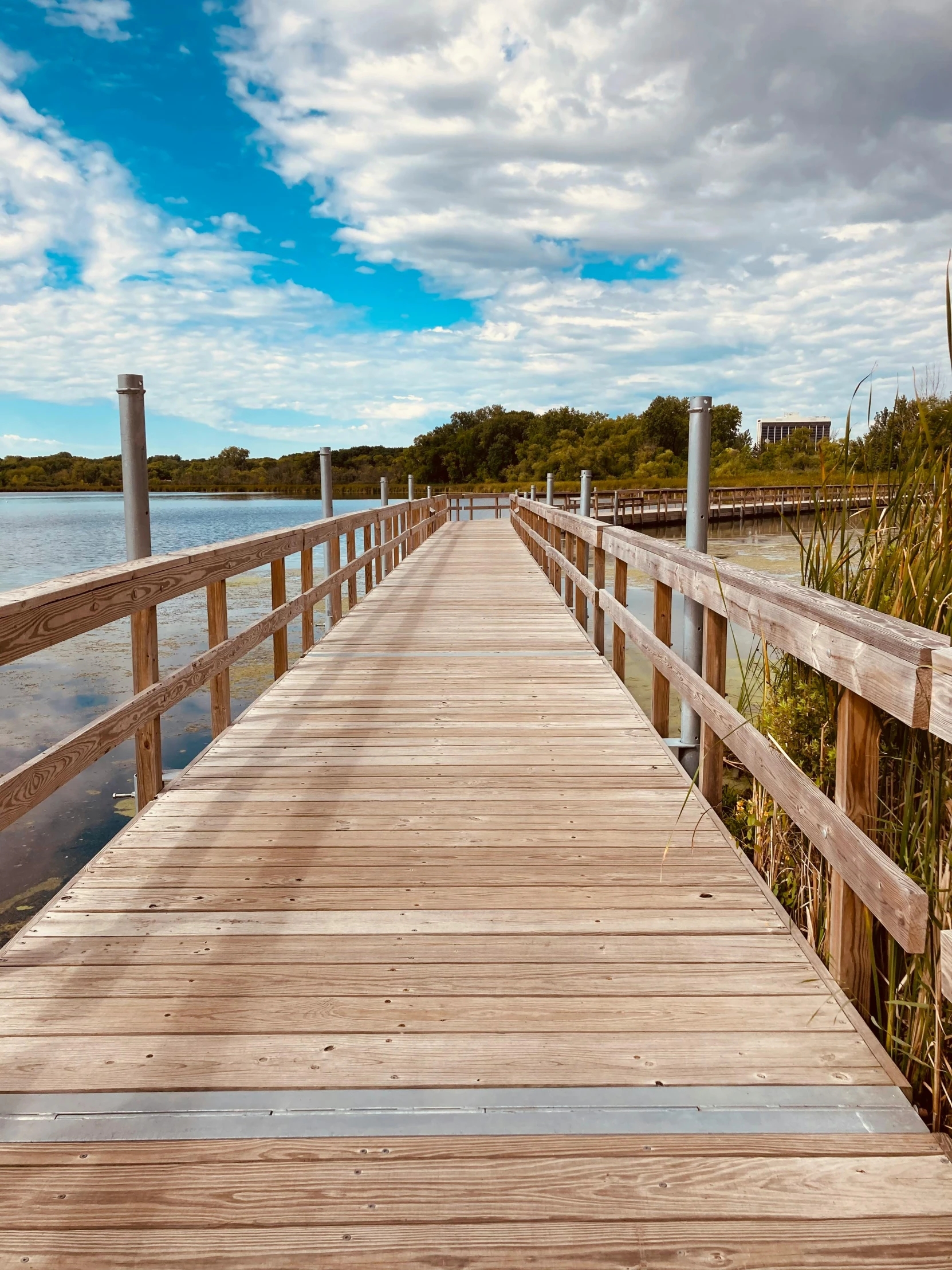 a long wooden dock with reeds along the edge