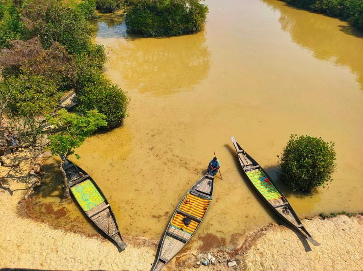 three canoes laying on a sandy beach next to green and brown trees