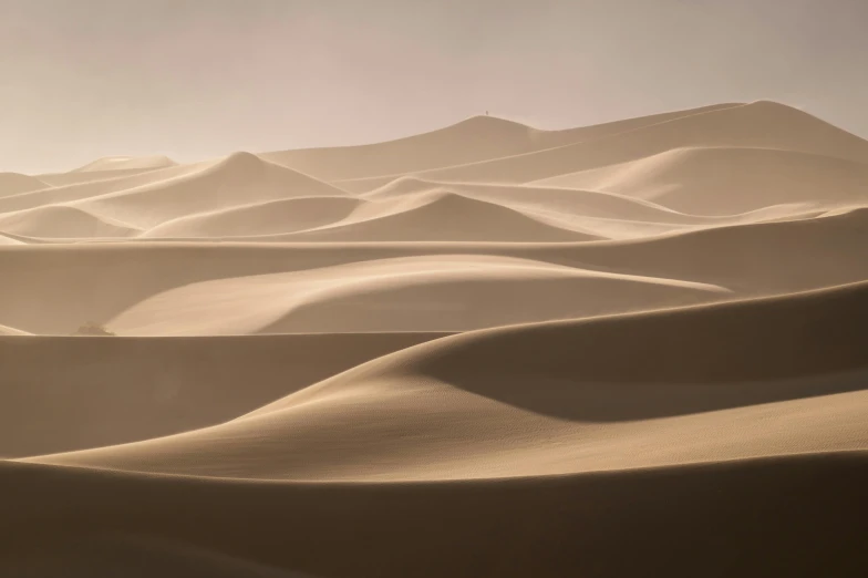 dunes on the edge of a desert