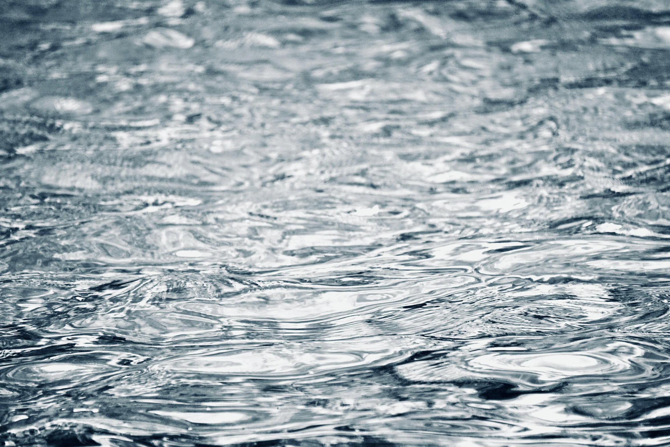 a bird is standing in the water and it's feathers are reflected in it