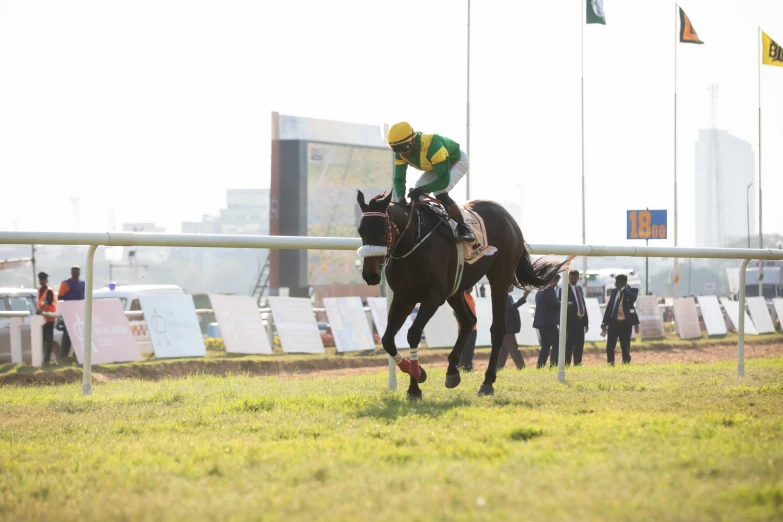 jockey riding his horse down the race track