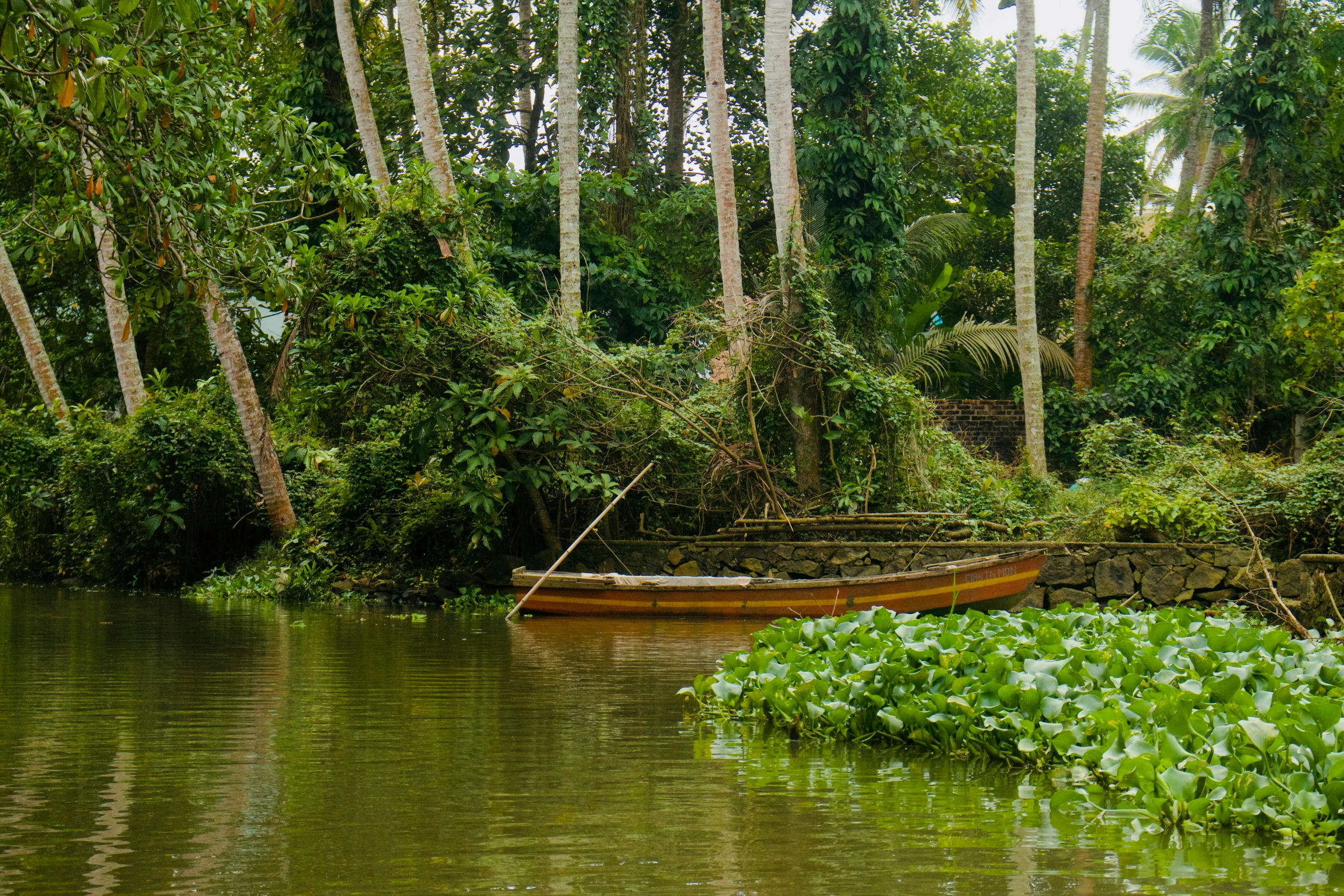 the small boat floats down the river in the green forest