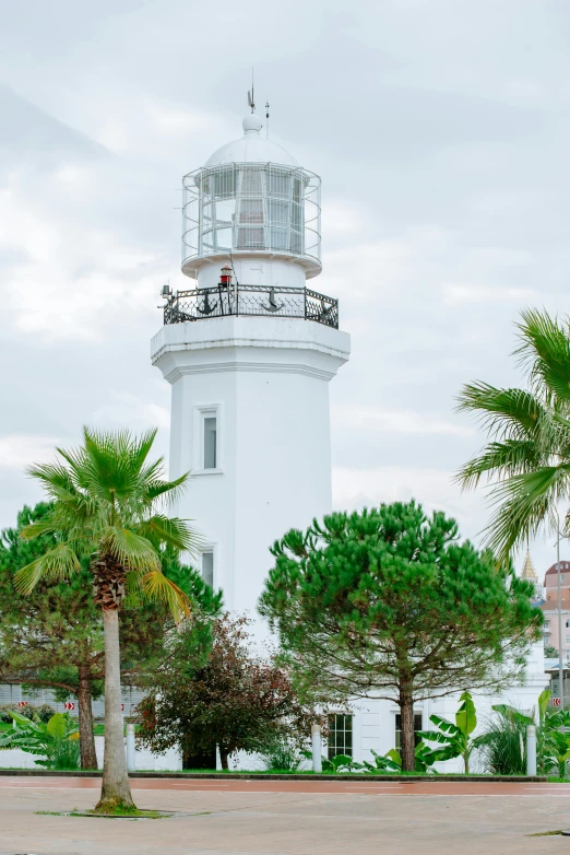 a white lighthouse sits between palm trees and a sidewalk