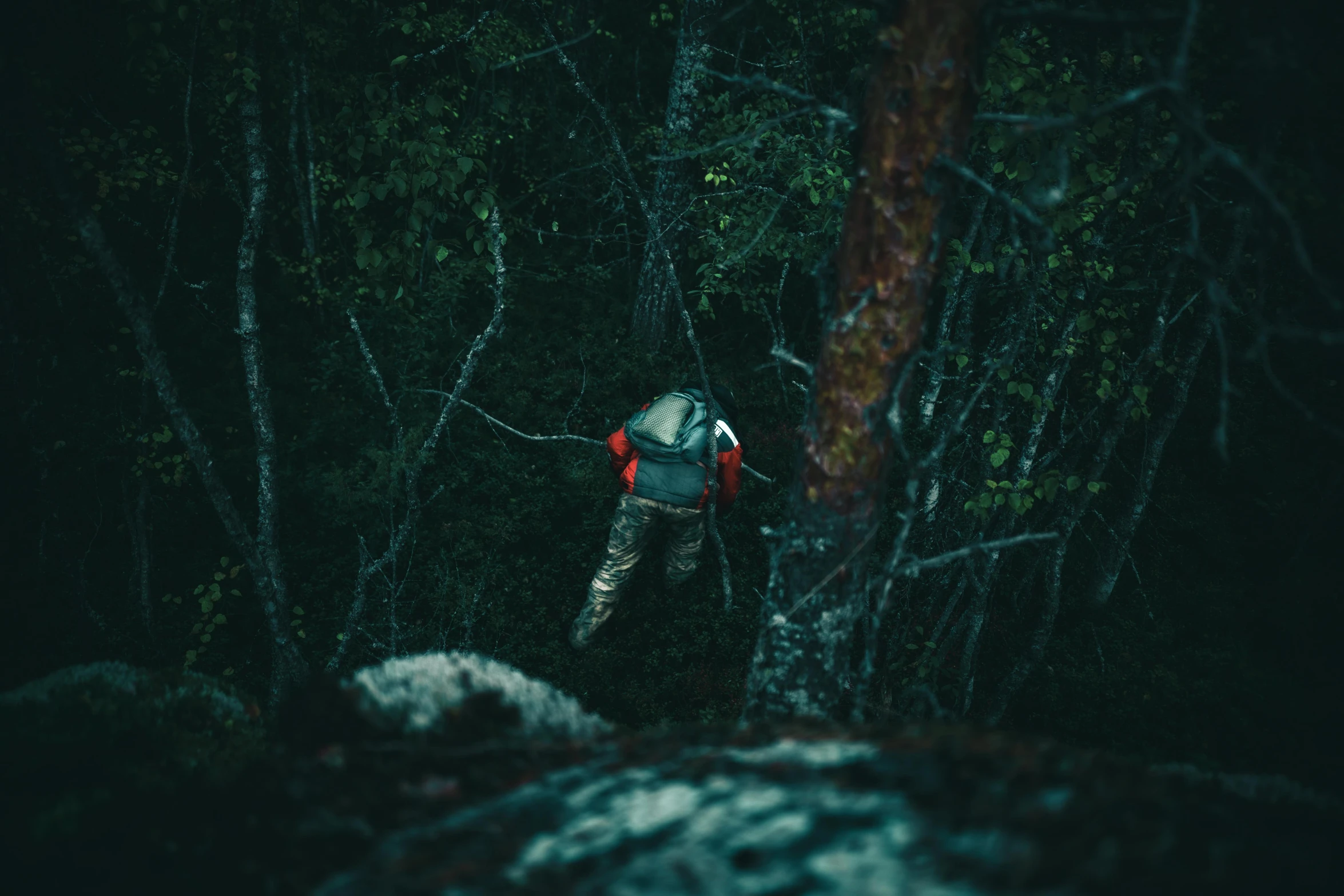 a man with an umbrella is climbing the trees