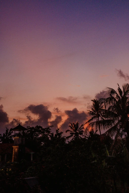 the silhouette of several palm trees and clouds in an urban setting