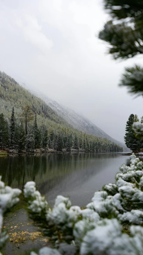 water and trees in the mountains with snow on them