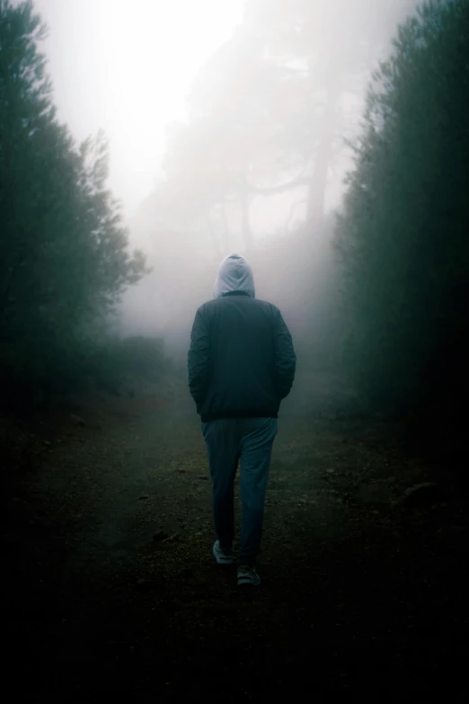 a person walking in the fog while the sun begins