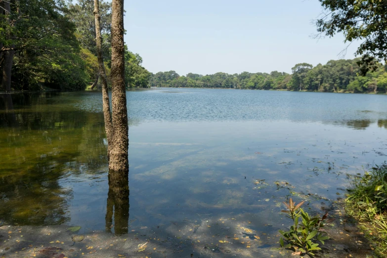 a lake surrounded by trees and water