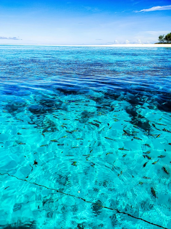 clear ocean water with coral reefs in foreground