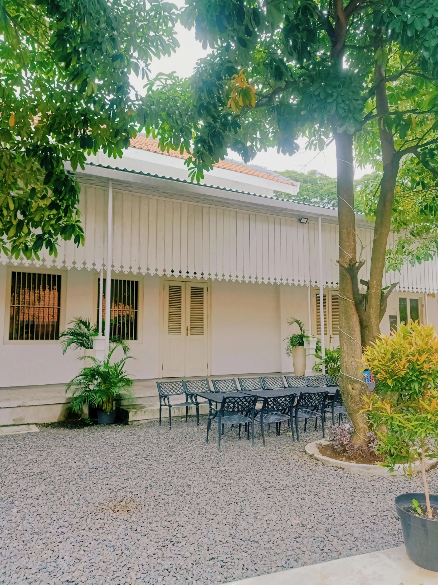 a building with chairs on it and a potted plant near by