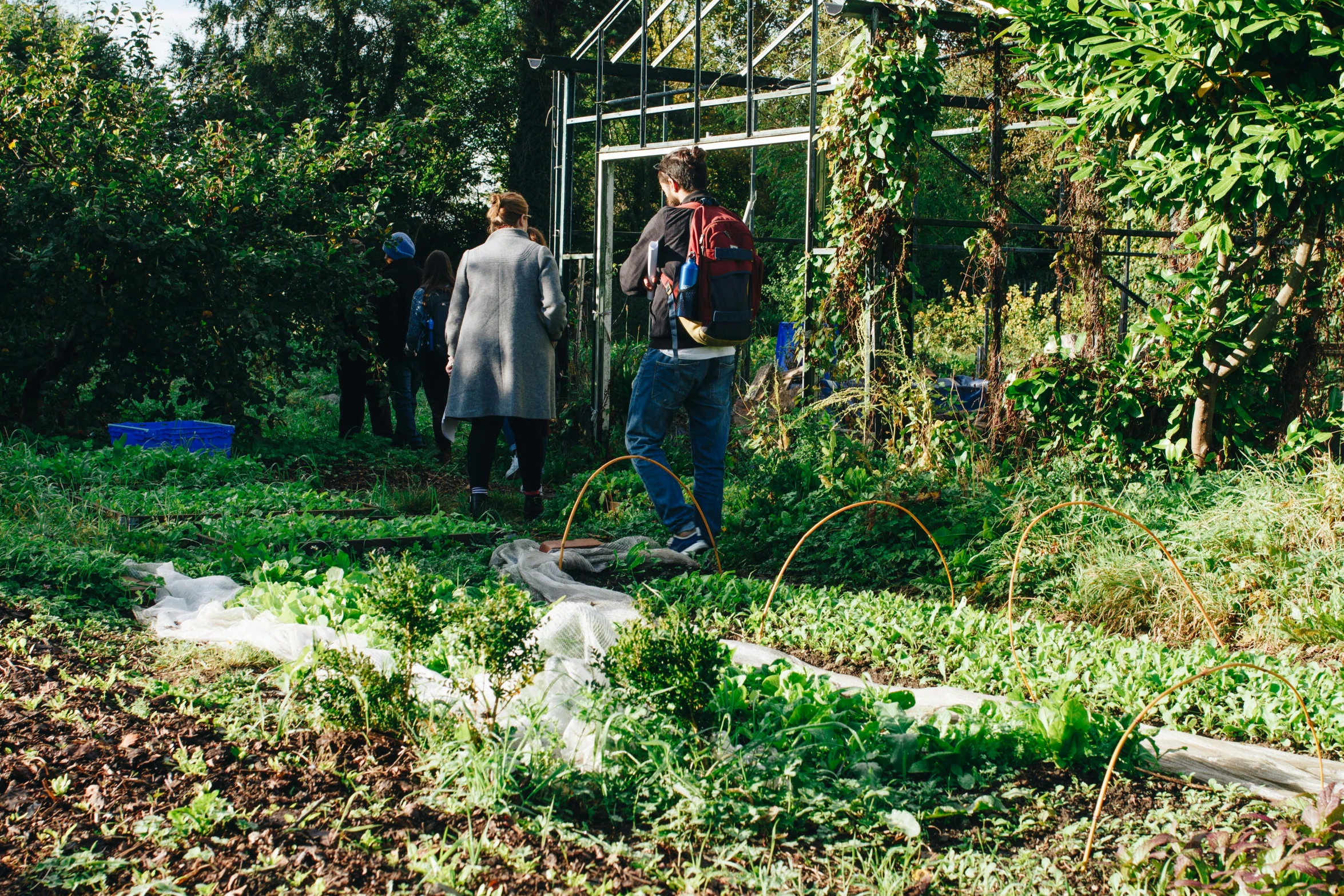 several people in a forest stand on a platform with green plants