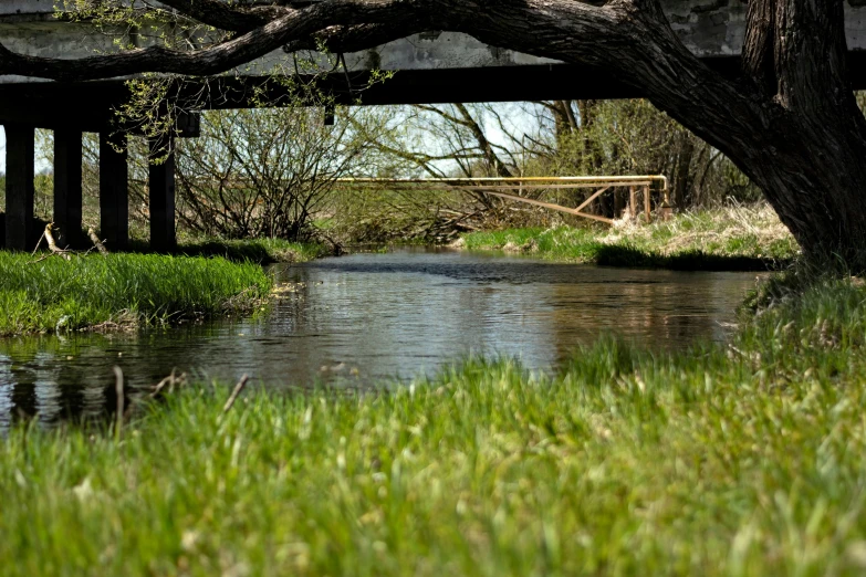 a bridge that is over some water on the grass