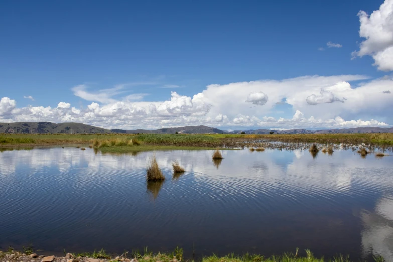 water is calm and is very wide in the middle