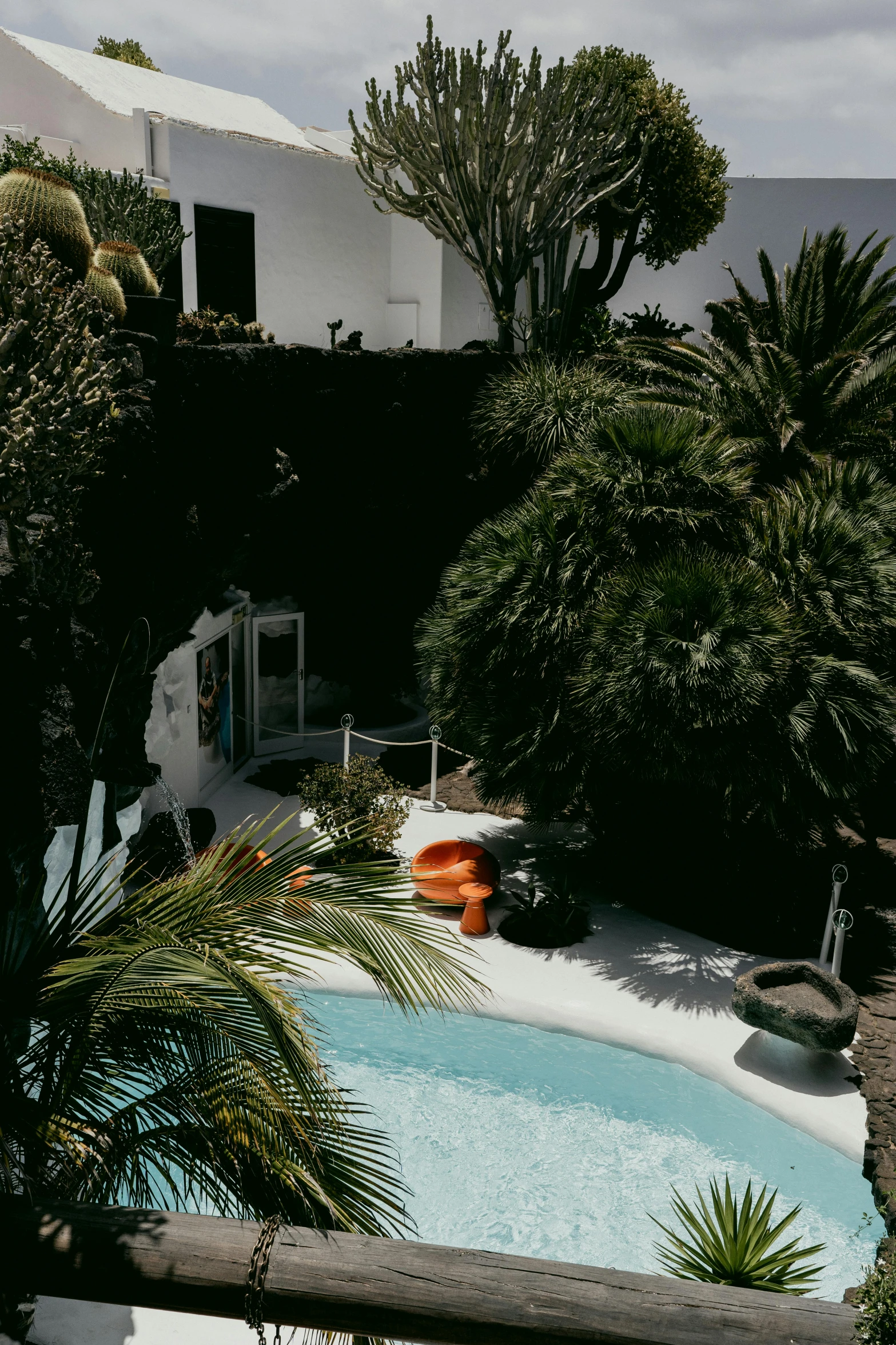 a backyard with a pool, some palm trees and bushes