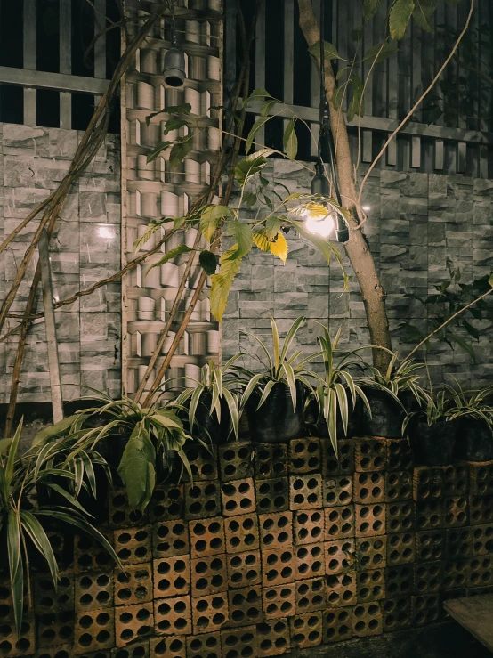 a wall made up with baskets and plants on the side of it