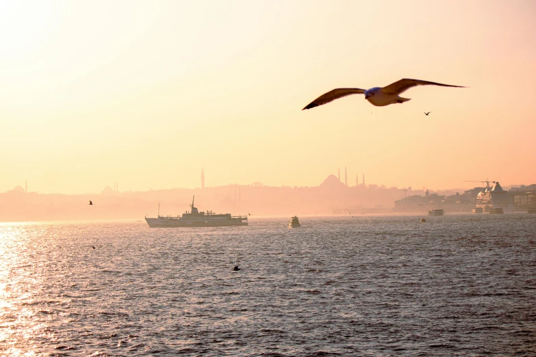 a bird is flying over the water and boats