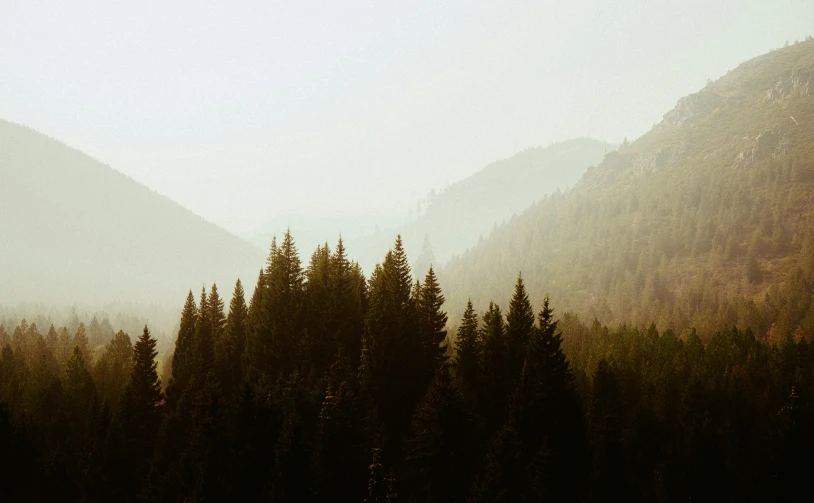 a view of some trees in the distance