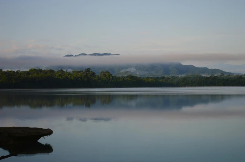 a body of water with trees and a mountain in the background