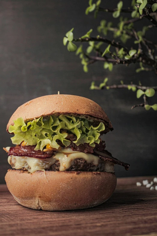 a close up of a cheeseburger on a piece of bread