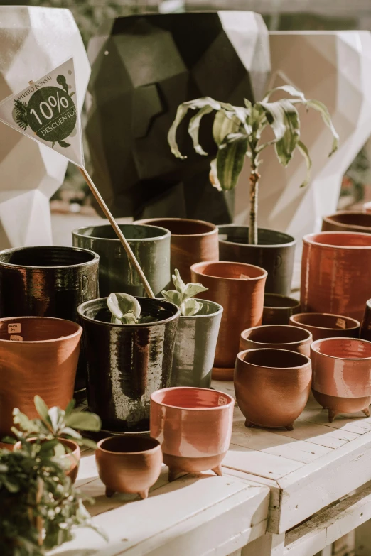 a table with pots and plants on it