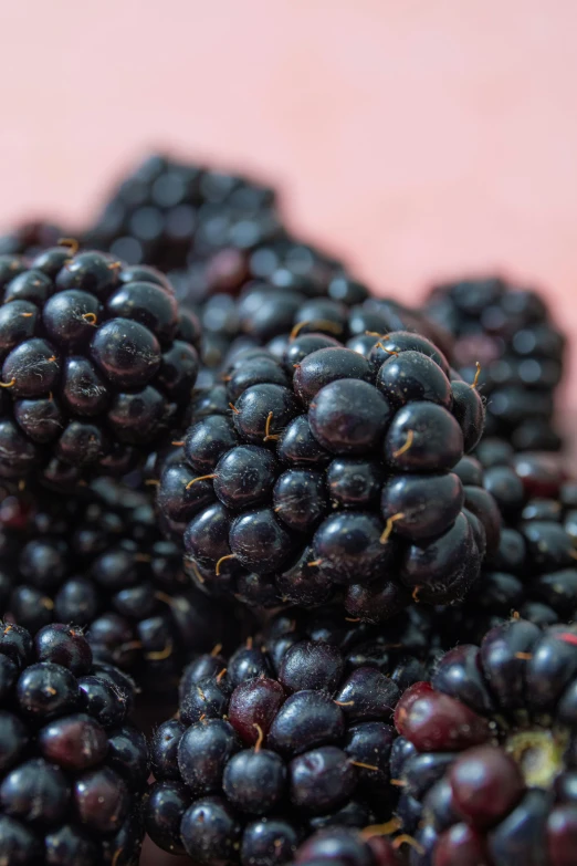 close up of blackberries next to each other