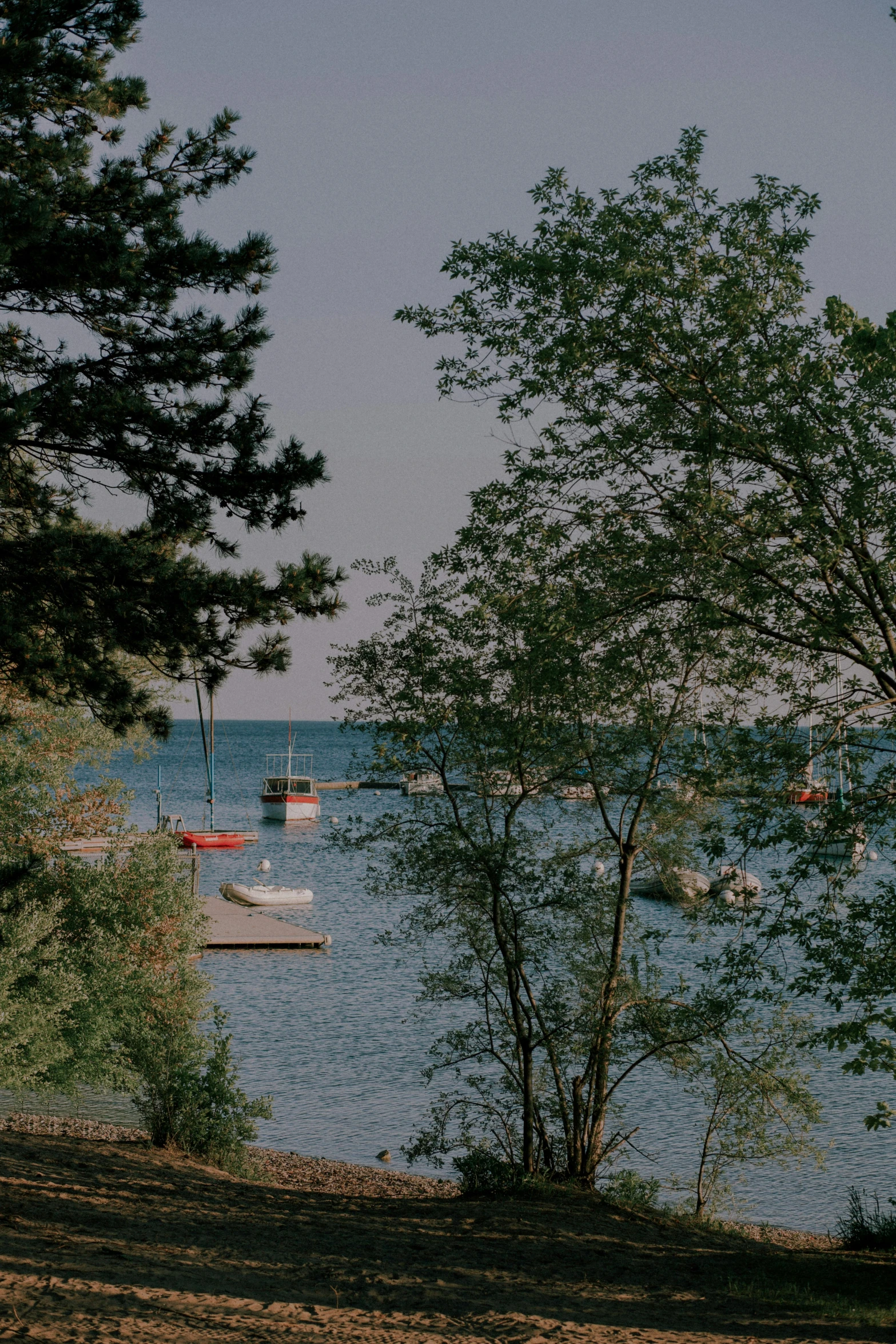 boats moored on water in a wooded area