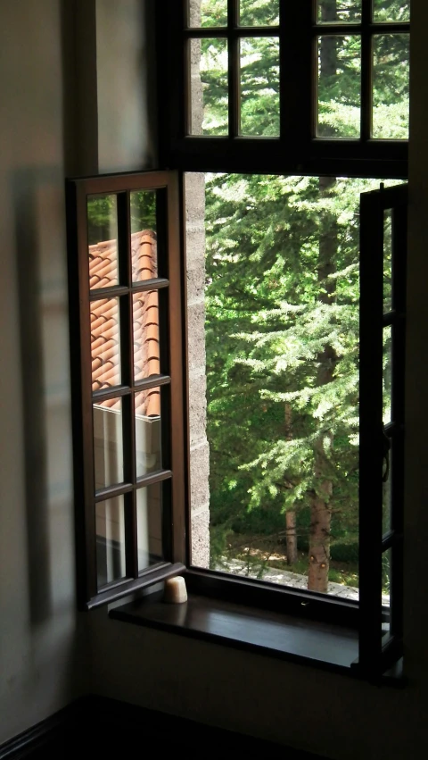 a window looking out at green forest outside