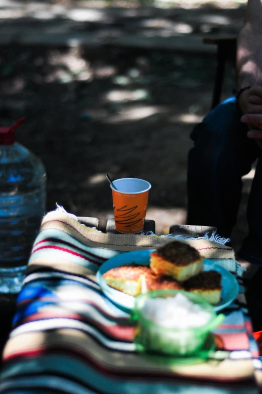 a close up of a plate of food near a person